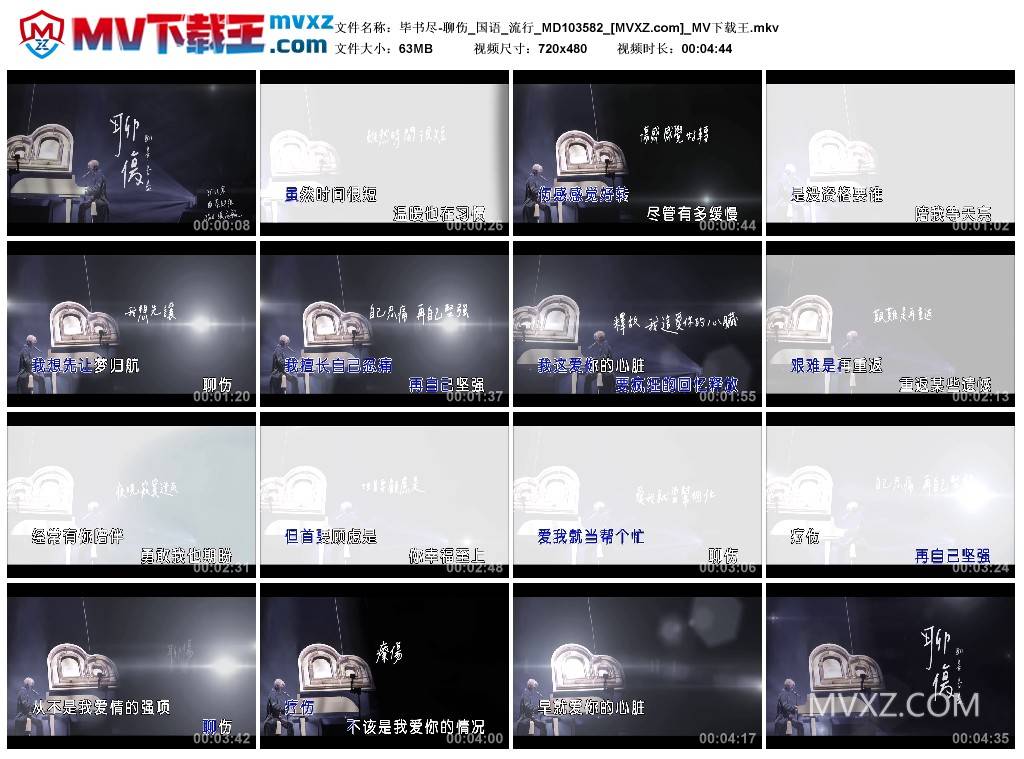 毕书尽-聊伤_国语_流行_MD103582